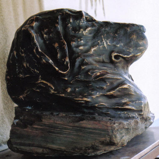 Clicar para ampliar.