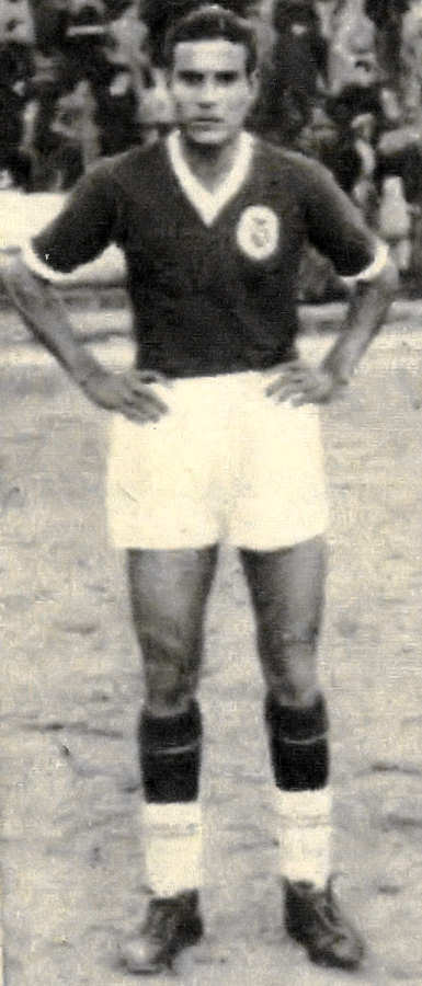 Patalino. Clicar para ampliar.