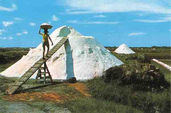 N.� 29 - Ed. Bruno da Rocha, Aveiro - S/D - Dimens�es: 10,5x15 cm. - Col. HJCO