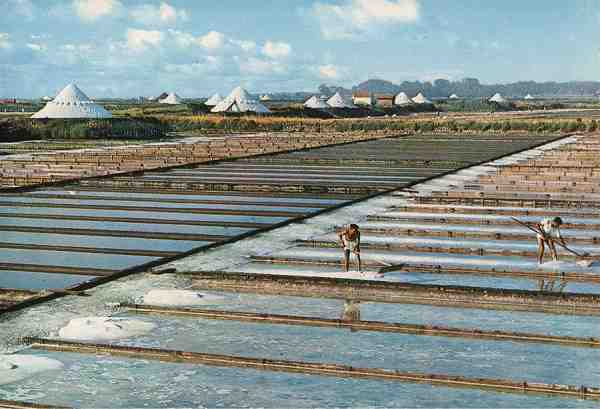 Ed. do Centro de Caridade �N� Sr� Perp�tuo Socorro�, n.� 861 - S/D - Dimens�es: 14,9x10,3 cm. - Col. HJCO