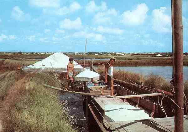 N.� 338 - Col. Perla - S/D - Dimens�es: 14,8x10,4 cm. - Col. HJCO