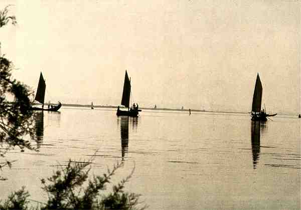 N.� 2221 - Centro de Caridade N� Sr� Perp�tuo Socorro - Porto - S/D - Dimens�es: 14,8x10,3 cm. - Col. Carvalhinho.