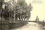 S/N - BRAGA-Semeiro-Avenida do Sul a Norte - Sem editor - S/D - Dimens�es: 13,8x9 cm. - Col. Aur�lio Dinis Marta.
