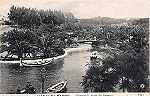 N.� 1341 - Caldas da Rainha-Portugal Lago do Parque - Editor F.A.Martins, Lisboa - Dimens�es: 9x14 cm - Col. Miguel Chaby.
