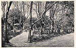 S/N - Caldas da Rainha-Portugal Parque - Trecho do Lago - Editor Fernando Daniel de Sousa - Editado em 1927 - Dimens�es: 14x9 cm. - Col. Miguel Chaby.