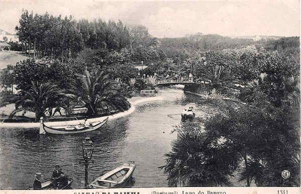 N.� 1341 - Caldas da Rainha-Portugal Lago do Parque - Editor F.A.Martins, Lisboa - Dimens�es: 9x14 cm - Col. Miguel Chaby.