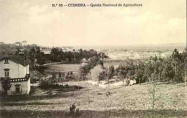 N.� 55 - Coimbra: Quinta Nacional de Agricultura - Edi��o da Havaneza Central, R. Visconde da Luz, 2 a 6-Coimbra - S/D - Dimens�es: 13,7x8,7 cm. - Col. Aur�lio Dinis Marta.