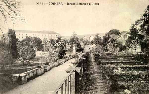 N.� 41 - Coimbra: Jardim Bot�nico e Liceu - Edi��o da Havaneza Central, R. Visconde da Luz, 2 a 6-Coimbra - S/D - Dimens�es: 13,8x8,8 cm. - Col. Aur�lio Dinis Marta.