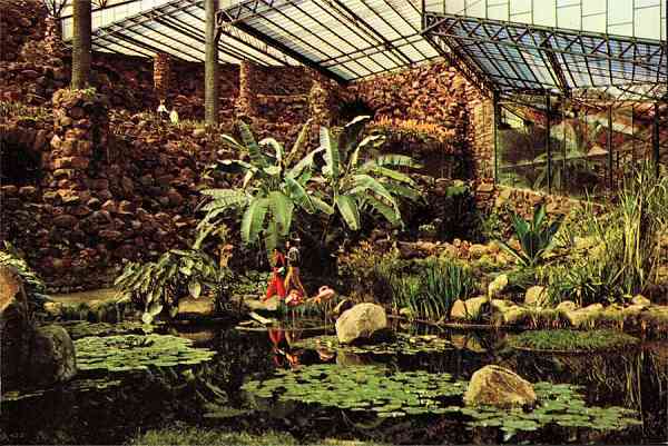 N.� 22 - LISBOA-Estufa Fria - Colec��o MARGRAPE - S/D - Dimens�es: 15x10 cm. - Col. HJCO (1980).