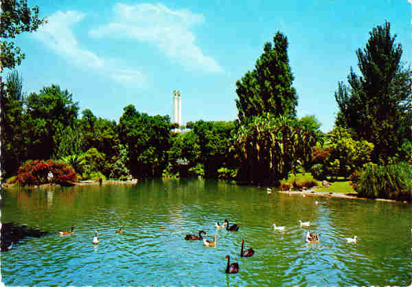 N.� 205 LISBOA - Lago do Parque Eduardo VII - Ed. Supercor - S/D - Dim.14,7X10,3 cm - Col. M�rio Silva 1973.