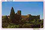 N.� 10 252 - Sabugal: Castelo - Edi��o de Foto Ribac�a, Sabugal (D�cada de 1990) - Dimens�es: 15x10,5 cm. - Col. F�tima B�ia.