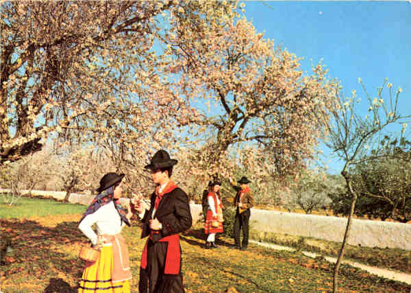 N.� 248 - ALENTEJO PORTUGAL. Matando a sede - Edi��o Centro de Caridade "Nossa Senhora do Perp�tuo Socorro", PORTO - S/D - Dimens�es: 14,9x10,3 cm. - Col. F�tima B�ia.