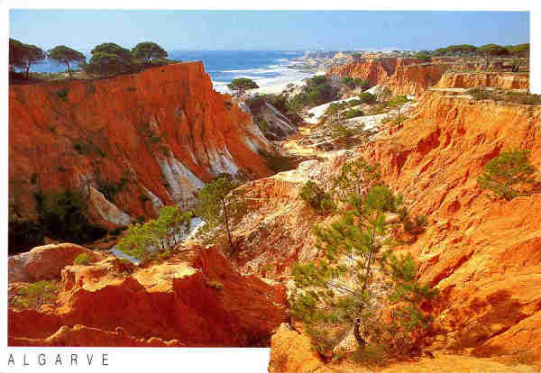 N.� 082-475109 - Praia da Fal�sia Albufeira Algarve - Edi��o VISTAL - S/D - Dimens�es: 15x10,3 cm. - Col. Gra�a Maia