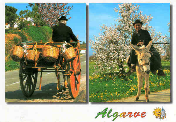 N.� 7470 - ALGARVE - Ed. Artes Gr�ficas - S/D - Dim. 15x10,5cm - Col. M�rio Silva.