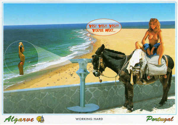 N.� 7626 - ALGARVE - Ed. Artes Gr�ficas - S&D - Dim. 15X10,5 cm - Col. M�rio Silva.