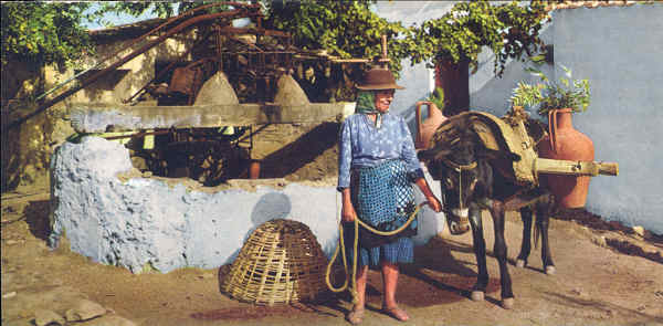 SN - ALGARVE. Aguadeira - Portugal Tur�stico - (Circulado em 1968) - SD - Dim. 14x7 cm - Col. A. Monge da Silva