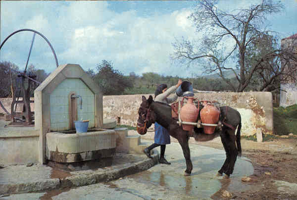 N� 840-Pr - ALGARVE. Transporte t�pico de �gua - Ed. OCASO - SD - Dim. 15,1x10,1 cm. - Col. Ilda Bastos.