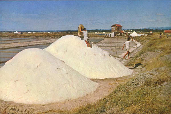 S�rie 69 - N.� 4 - Aveiro (Portugal) MArinhas de sal - Edi��o da Comiss�o Municipal de Turismo de Aveiro - S/D - Dimens�es: 15x9,9 cm. - Col. Gra�a Maia.