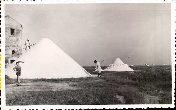 N.� 12 - AVEIRO - Montes de sal - Editor n�o indicado - S/D - Dimens�es: 13,7x8,6 cm - Col. �nio Semedo.