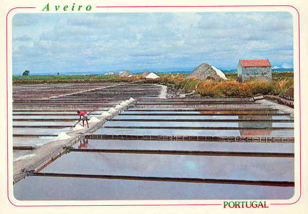 N.� 31 - AVEIRO Portugal Salineiros (marnotos) preparando o sal. - Distribuidores Bruno da Rocha, Aveiro - S/D - Dimens�es: 14,9x10,5 cm. - Col. �nio Semedo.