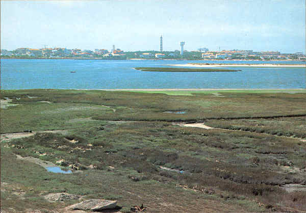 N.� 3076 - AVEIRO Portugal Pormenor da Barra e Ria - �ncora Distribu�do por  RAN, Lisboa, Rua da Quintinha, 70-B Tel. 670 192 - ...1200 Lisboa - S/D - Dimens�es: 14,8x10,4 cm. - Col. �nio Semedo.