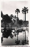 N.� 5 - Portugal Caldas da Rainha Lago no Parque Rainha D. Leonor Rainha D.Leonor - Editor Passaporte Loty (Editado em 1951) - Dimens�es: 9x14 cm. - Col. Miguel Chaby