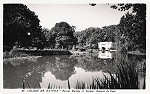 N.� 55 - Portugal Caldas da Rainha. Parque Rainha D. Leonor. Aspecto do Lago - Editor Passaporte Loty (Editado em 1951) - Dimens�es: 9x14 cm. - Col. Miguel Chaby