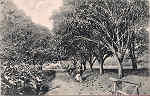 S/N - Portugal Caldas da Rainha Foz do Arelho Rua da Fonte da Quinta do Bom Sucesso - Editor Jos� da Silva Dias (Editado em 1912) - Dim. 9x14 cm. - Col. M. Chaby
