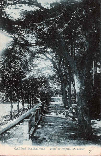 S/N - Portugal-Caldas da Rainha Mata do Hospital D.Leonor - Editor Jos� da Silva Dias (Editado em 1927) - Dimens�es: 9x14cm. - Col. Miguel Chaby