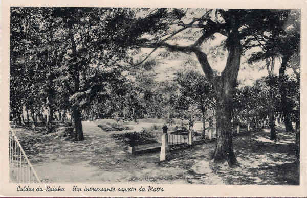 S/N - Portugal-Caldas da Rainha Um interessante aspecto da Matta - Editor Fernando Daniel de Sousa (Editado em 1940) - Dimens�es: 14x9 cm. - Col. Miguel Chaby