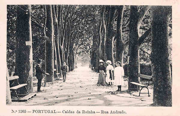 N.� 1265 - Portugal Caldas da Rainha Rua Andrade - Editor Alberto Malva (Editado em 1910) - Dimens�es: 9x14 cm. - Col. Miguel Chaby