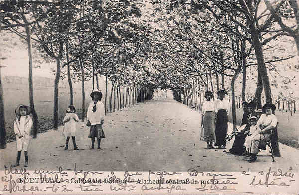 S/N - Portugal Caldas da Rainha Alameda central da Matta - Editor Alberto Malva (Editado em 1917) - Dimens�es: 9x14 cm. - Col. Miguel Chaby