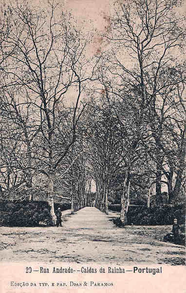 N.� 20 - Portugal Caldas da Rainha Rua Andrade - Editor Dias e Paramos (Editado em 1906) - Dimens�es: 9x14 cm. - Col. Miguel Chaby