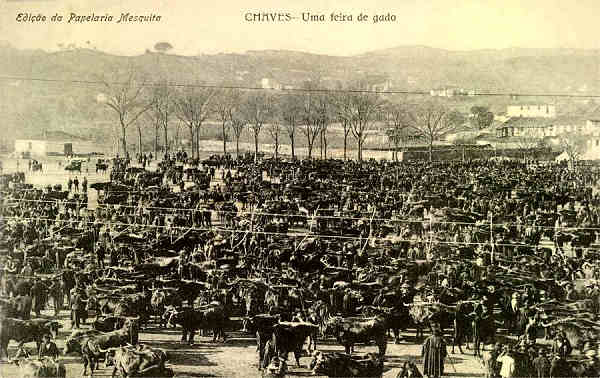 S/N - Chaves: Uma feira de gado - Edi��o da Papelaria Mesquita - S/D - Dimens�es: 13,6x8,6 cm. - Col. Aur�lio Dinis Marta. [Union Postale Universelle]