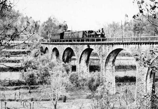 S/N - PONTE DE PINHEIRO DE LAF�ES 23-02-1969 - Editor: ??? - Dimens�es: 14,7x10,4 cm. -  Col.  M�rio Silva