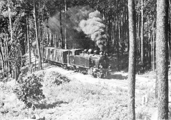 S/N - MONTE DE PARAMOS - ESPINHO 11-04-1973 - Editor: ??? - Dimens�es: 14,7x10,4 cm. - Col. M�rio Silva