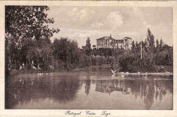 SN - Portugal. Curia. Lago - Ed. Bazar Soares - Porto - (Foto Soares Leit�o, Curia) - Dim. 13,9x9,0 cm - Col. A. Sim�es (314).