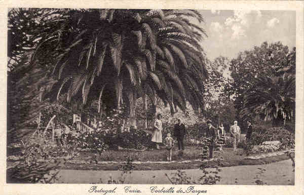 SN - Portugal. Curia. Corbeille do Parque - Ed. Bazar Soares - Porto - (Foto Soares Leit�o, Curia) - Dim. 13,7x9,0 