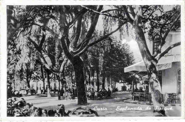 SN - CURIA - Esplanada do Parque - Edi��o Grande Bazar de Arte Regional ( E.F.N.) (Fotogr�fico) - Dim. 14,1x9,2 cm - Col. A. Sim�es (186-2).