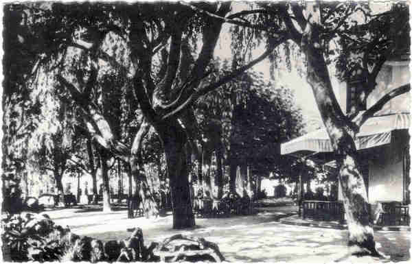 SN - Editor n�o referenciado (Fotogr�fico) - Dim. 13,8x8,8cm - Circul. 8-1964 - Col. A. Sim�es (186-3).