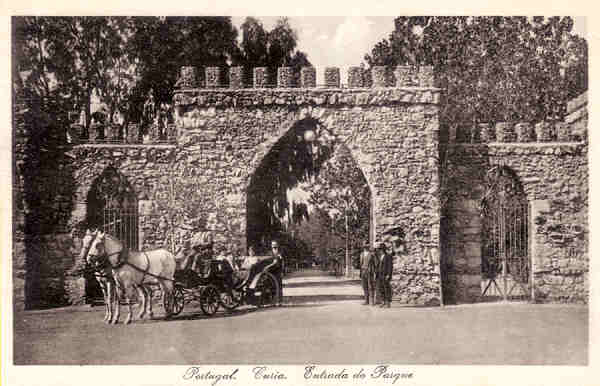 SN - Portugal. Curia. Entrada do Parque - Ed. Bazar Soares - Porto - Dim. 14,0x9,0cm - Col. A. Sim�es(127).