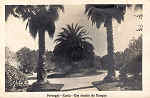SN - Portugal - Curia - Um trecho do Parque - Ed. Foto Soares, Porto - Curia - Gerez -Dim. 13,8x8,9 cm - Circ. 1931 - Col. A. Sim�es ( 394).