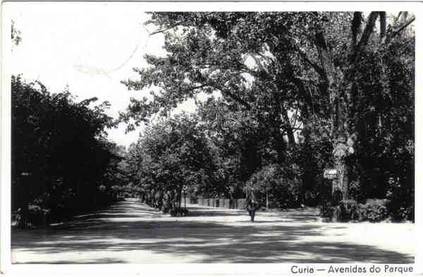 SN - Curia - Avenidas do Parque - Ed. Mimosa - Dim. 13,6x8,7 cm - Circ. 9-1964 - Col. A. Sim�es (211).