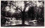N� 80 - PORTUGAL - CURIA - Um trecho do Parque e Lago - Ed. Alexandre d'Almeida, isboa - Dim. 14,1x8,9 cm - Col. A. Sim�es (2).