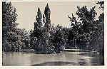 SN - CURIA - Portugal - Vista do Lago - Ed Junta de Turismo, Curia -  13,9x9,0 cm - Circ. 9/1948 - Col. A. Sim�es (185-1).