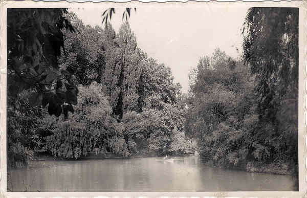 SN - CURIA - Portugal - Um aspecto do Lago - Ed. Soc. �guas da Curia - Dim. 14,0x9,0 cm - 2/1951 - Col. A. Sim�es (190).