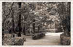 SN - CURIA - Portugal - Um trecho do Parque - Ed. Junta Turismo Curia - SD - Dim. 13,9x9,0 cm - Col. A. Sim�es (197).