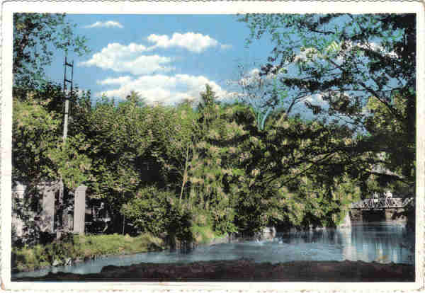 SN - CURIA - Vista do Parque - Ed. Gr Bazar da Curia - E F N - 15x10,3 cm. -Circ 8 - 1961 - Col. A. Sim�es 1001