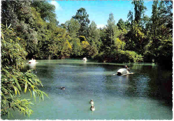 N� 397-P. - CURIA - Um recanto do lago - Ed. Portugal Tur�stico - 14,8x10,3 cm. - Col. A. Sim�es 1111.