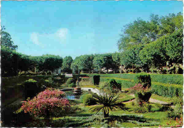 N� 555 - CURIA - Jardim do Palace Hotel - Ed. Portugal Tur�stico - 14,8x10,3 cm. - Circ. 9/1974 - Col. A. Sim�es 1054a.